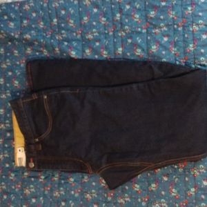 Men's Organic Cotton Lined Jeans 33/34